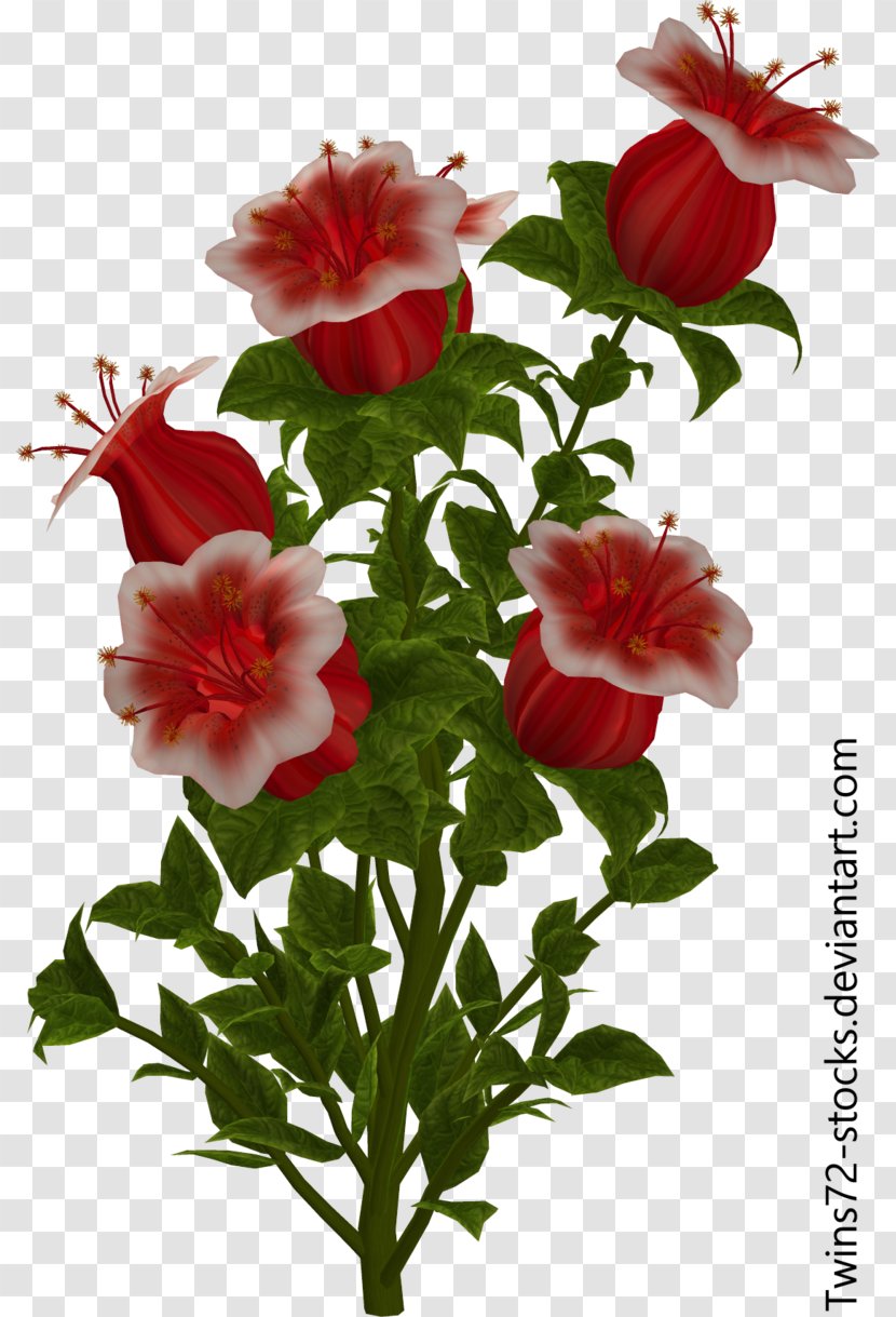 Cut Flowers Plants Art Illustration - Pink Family - Flower Transparent PNG