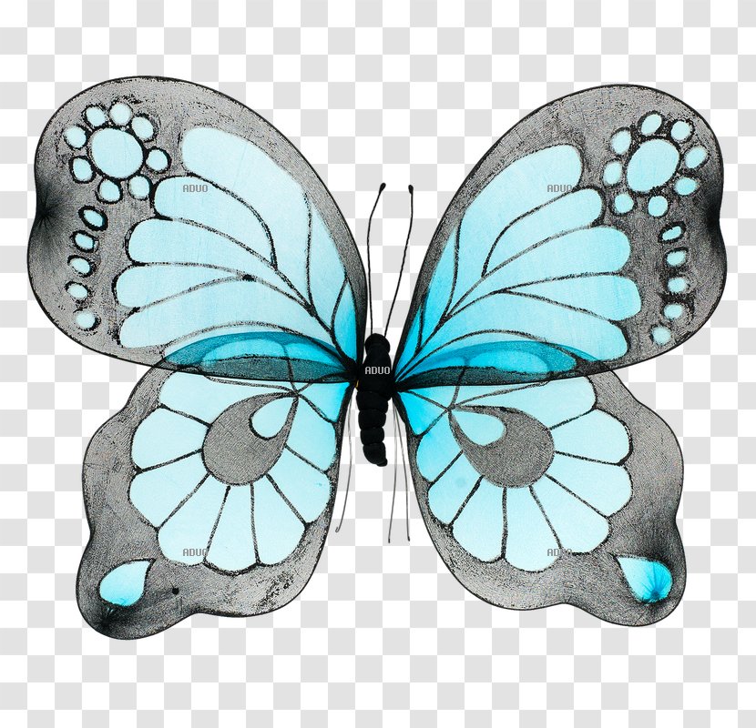 Monarch Butterfly Turquoise Insect Bird - Arthropod Transparent PNG