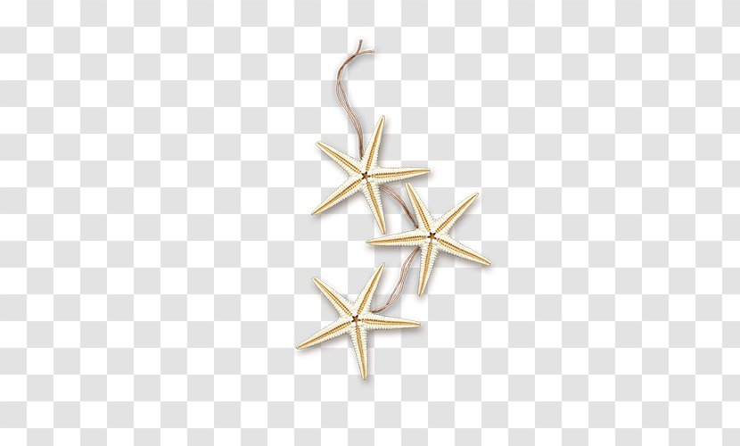 Gostinyy Dom Sea Starfish Icon - Pixel - Pictures Transparent PNG