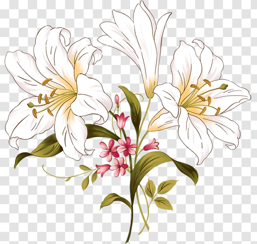 Floral Design Lilium Flower - Flowering Plant Transparent PNG