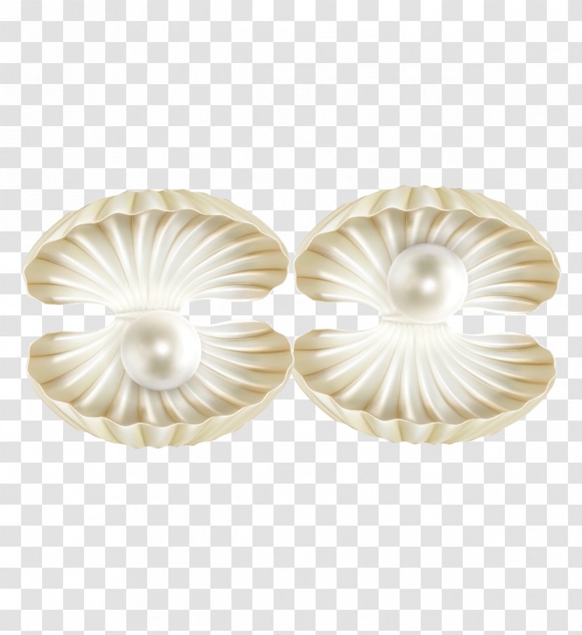 Pearl Seashell Euclidean Vector - Transparency And Translucency - Shell Material Transparent PNG