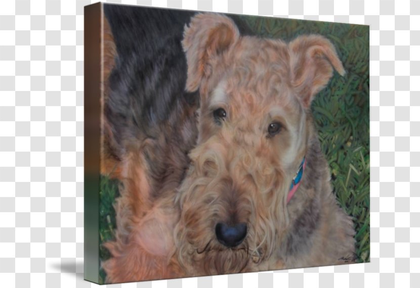 Airedale Terrier Welsh Lakeland Irish Schnoodle Transparent PNG