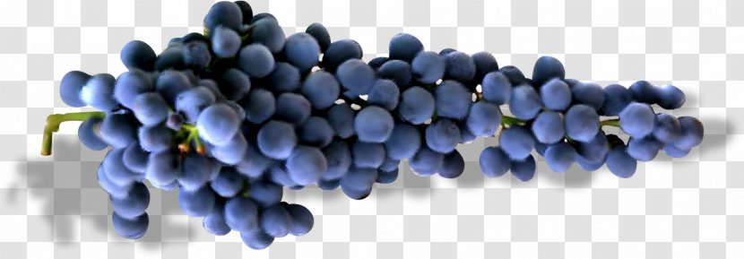 Grape Auglis Fruit Autumn - Designer - Grapes Transparent PNG