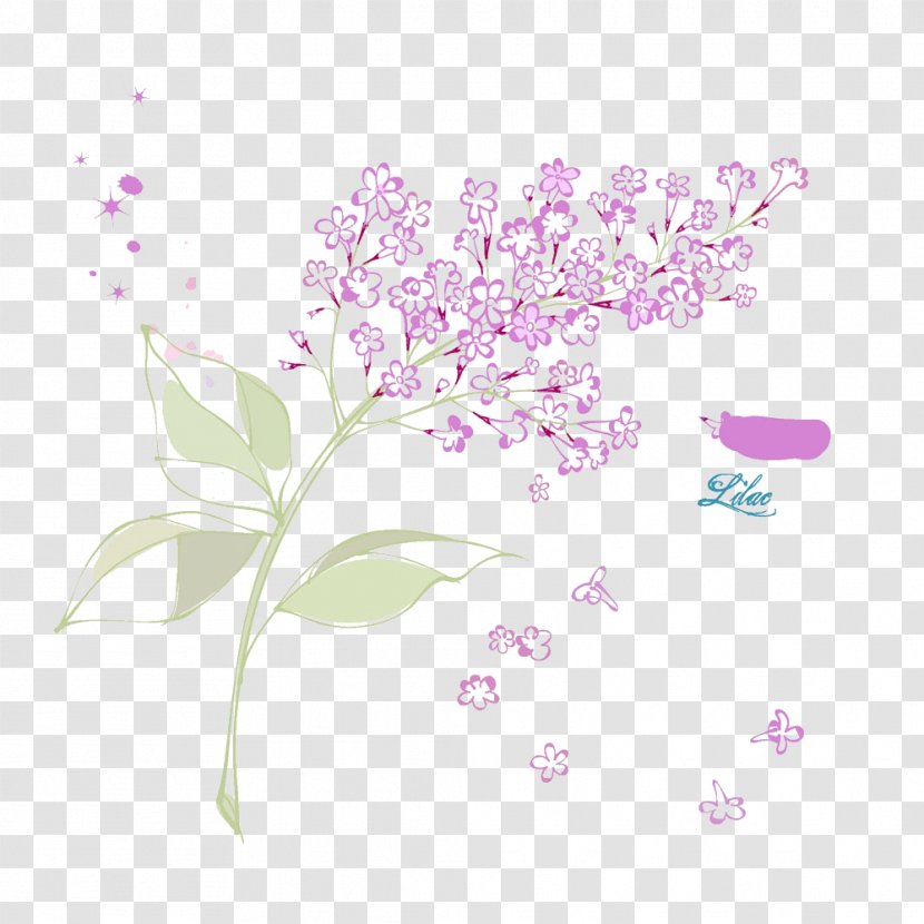 Petal Flower Syzygium Aromaticum - Vector Lilac Transparent PNG