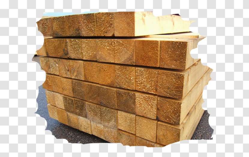 Lumber Holzmarkt Freiberg Sperrholz Firewood Hardwood Transparent PNG