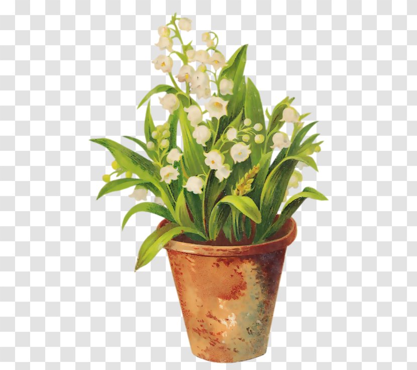 Lily Of The Valley Flowerpot Sony Xperia Z5 Premium Photography - Cut Flowers Transparent PNG