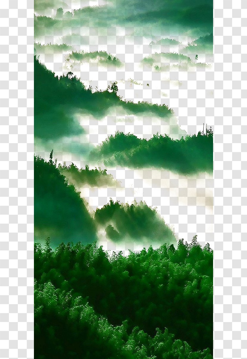 Green Art - Sunlight - Forest Transparent PNG