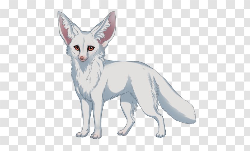 Red Fox Whiskers Fennec Drawing - Mammal Transparent PNG