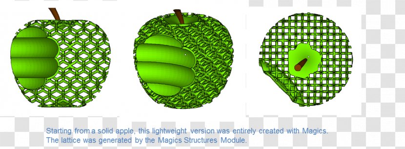 Computer Software Materialise NV 3D Printing Distribution Production - Plant - Fruit Transparent PNG