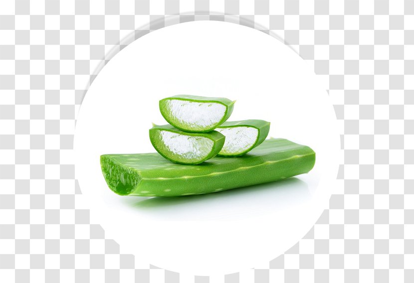 Aloe Vera Skin Care Gel Health - Cucumber Transparent PNG