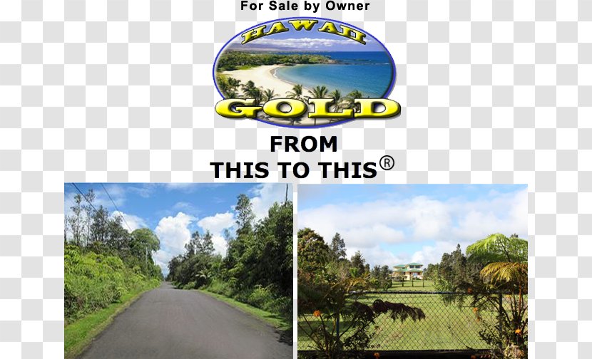 Hilo International Airport Land Lot Rural Sales Property Acre - Grass Transparent PNG