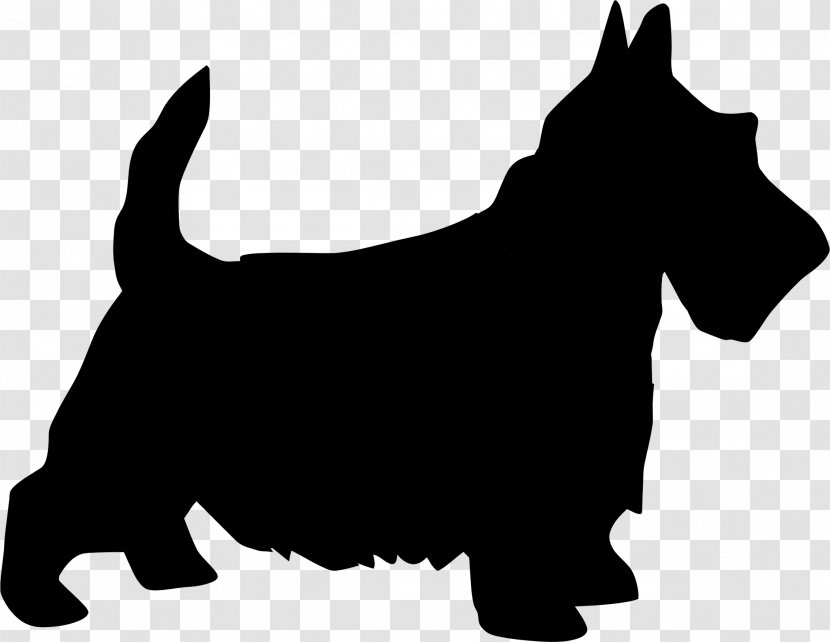 Scottish Terrier Yorkshire West Highland White Sealyham Transparent PNG