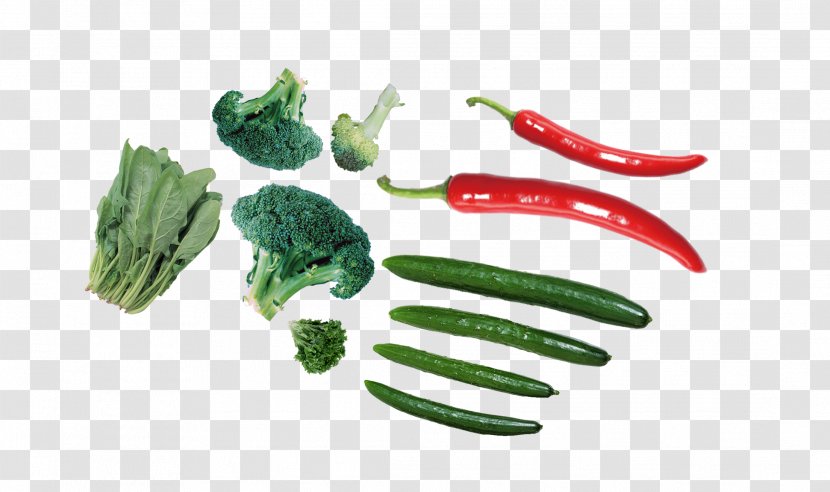 Capsicum Annuum Vegetable Chili Pepper Vegetarian Cuisine - Photography - Vegetables Transparent PNG
