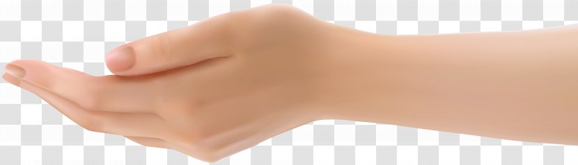 Thumb Shoulder - Skin - Hand Transparent Clip Art Transparent PNG