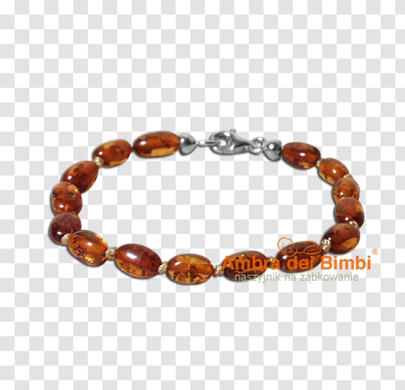 Baltic Amber Bracelet Necklace Child - Sea Transparent PNG