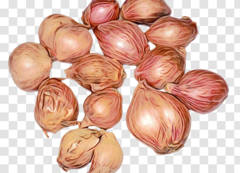 Shallot Vegetable Plant Onion Food - Allium - Flowering Yellow Transparent PNG