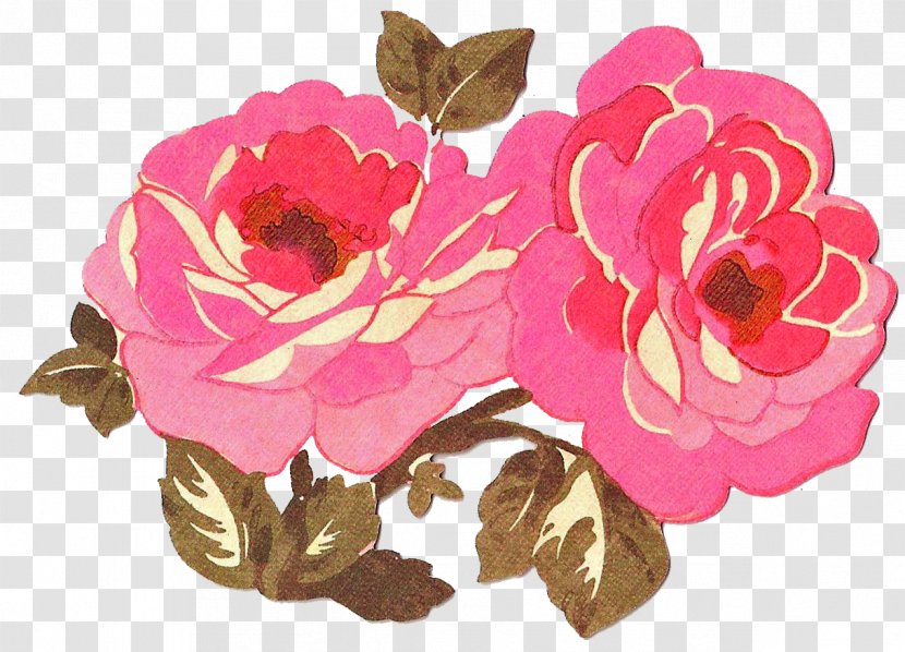Garden Roses Cabbage Rose Floral Design Valentine's Day Cut Flowers - Silhouette - Vintage Valentine 400 X 150 Transparent PNG