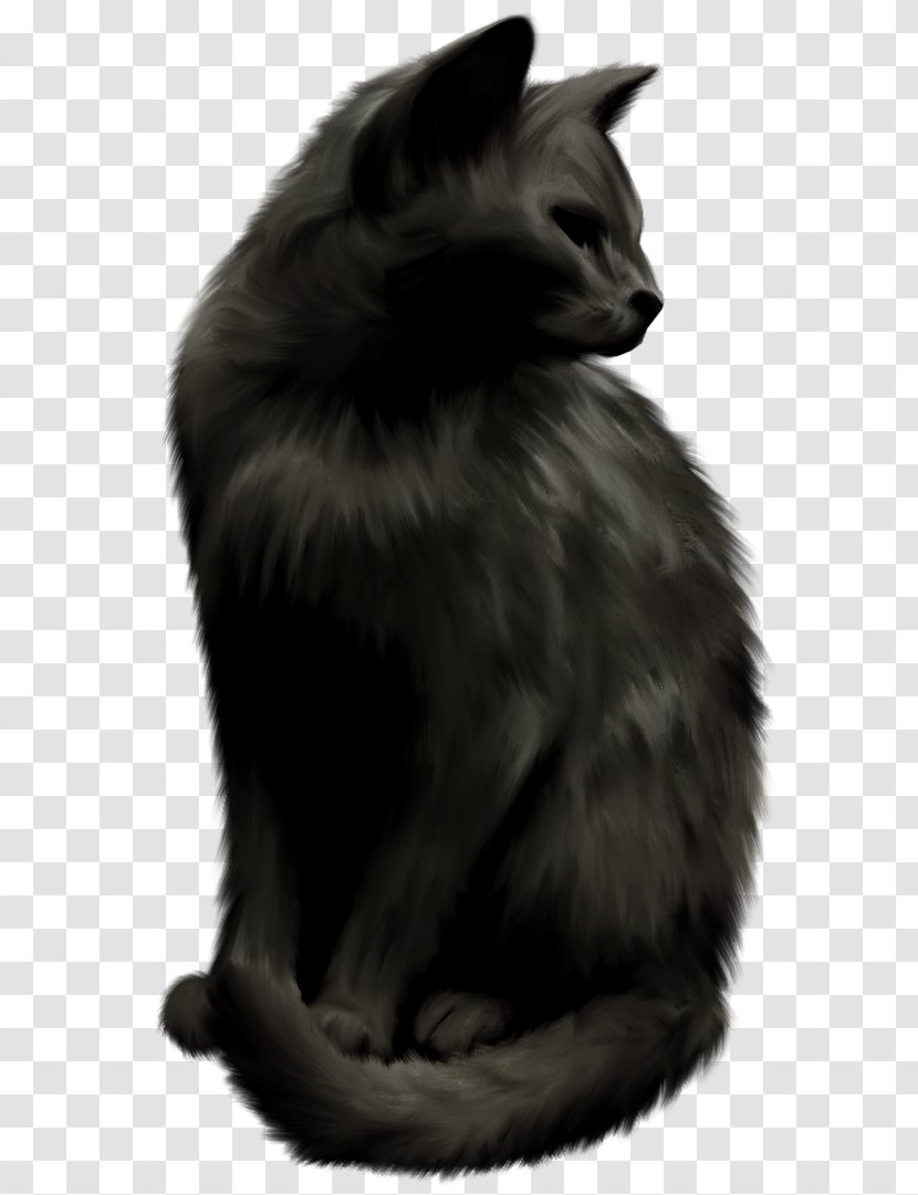 Norwegian Forest Cat Nebelung Whiskers Black Domestic Short-haired - Burmese - Mammal Transparent PNG