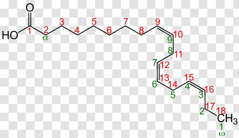 Fatty Acid Desaturase Locant Linoleic - Area - Nomenclature Transparent PNG
