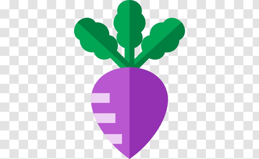 Tarlac City Turnip Food Leaf - Silhouette Transparent PNG