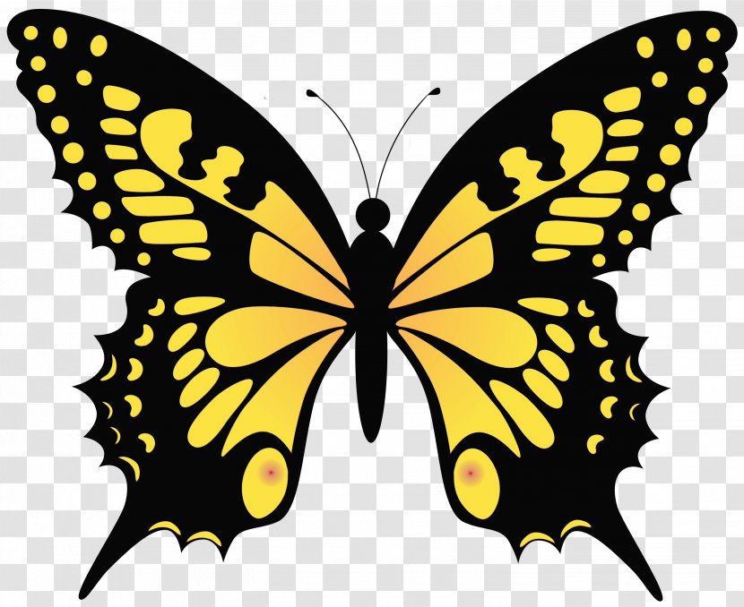 Watercolor Butterfly Background - Monarch - Wing Yellow Transparent PNG