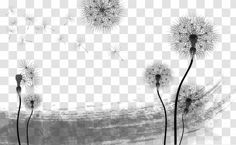 Common Dandelion Euclidean Vector Wallpaper - Flower - Flying Transparent PNG