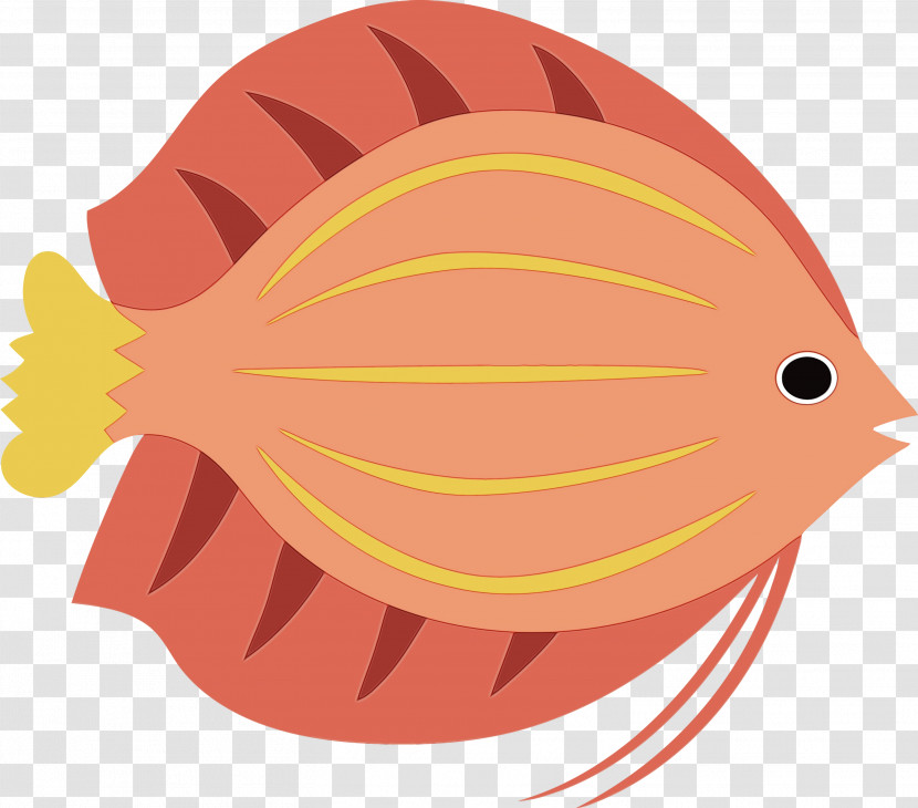 Cartoon Beak Fish Biology Science Transparent PNG