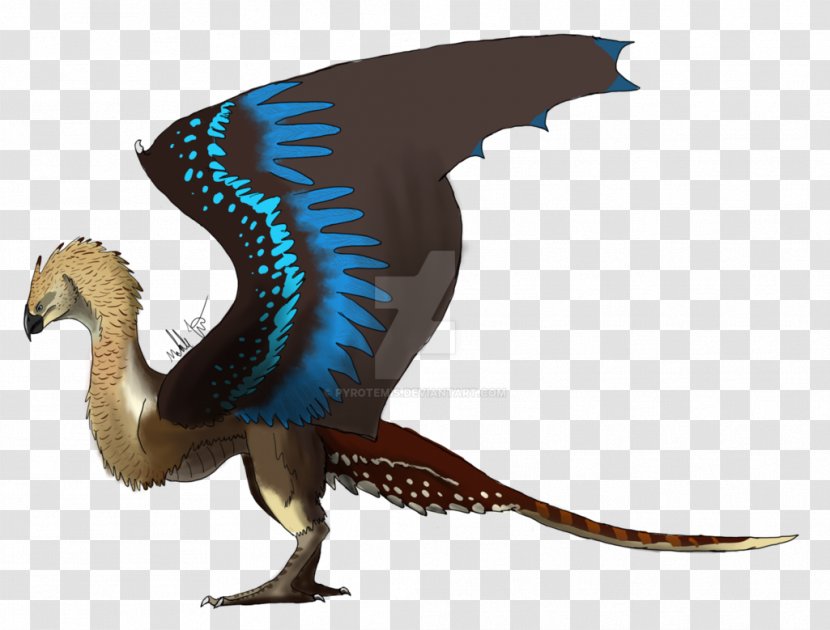 Beak Fauna Feather - Wing Transparent PNG