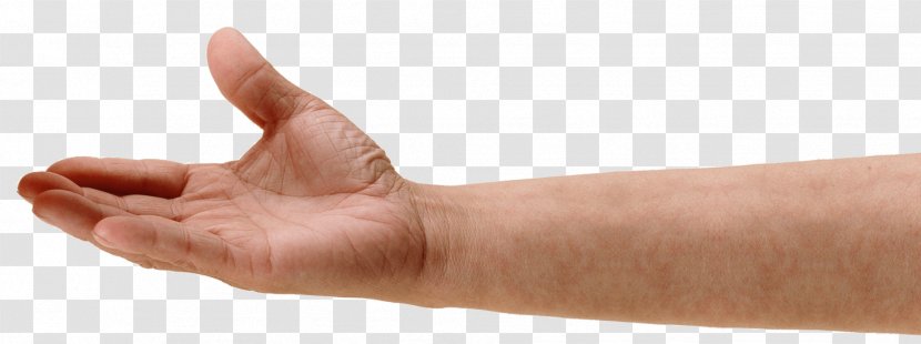 Hand Thumb - Holding Hands Transparent PNG