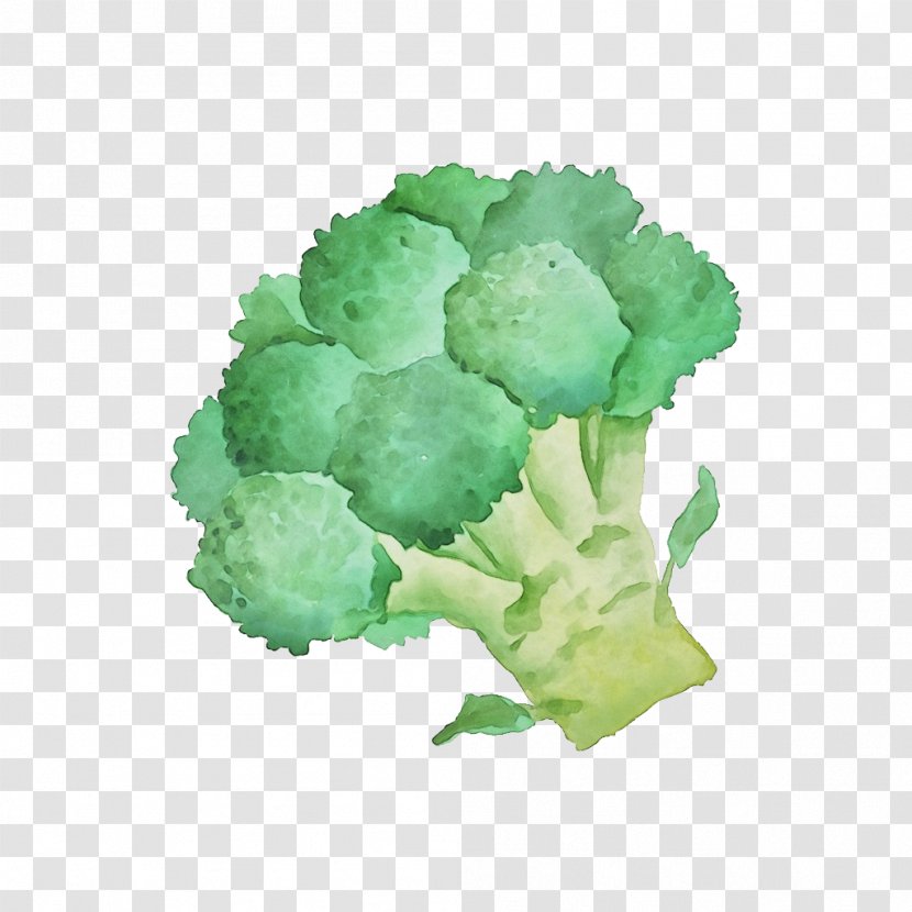Cauliflower - Lettuce - Plant Transparent PNG