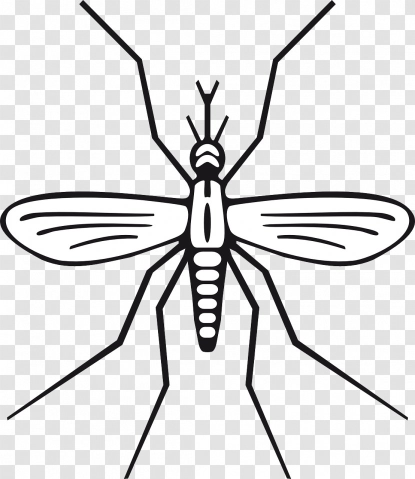 Mosquito Black And White Clip Art - Fly - Flying Mosquitoes Transparent PNG
