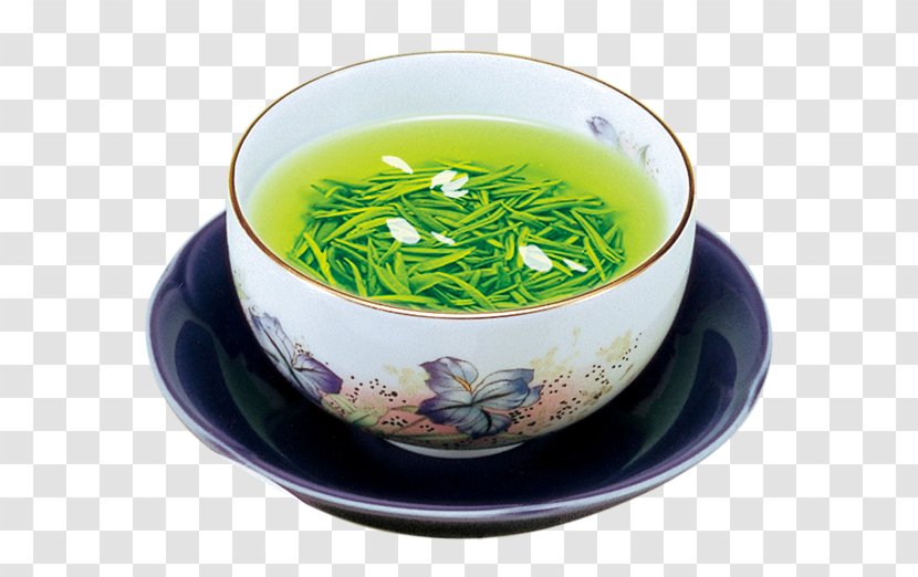 Green Tea White Huangshan Maofeng Culture - Japanese Ceremony - Fresh Cup Of Transparent PNG