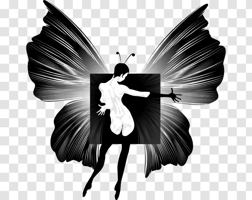 Butterfly T-shirt Woman Designer - Fairy - Creative Silhouette Transparent PNG