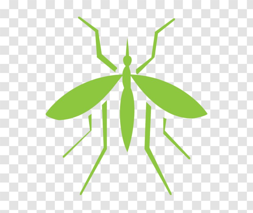 Mosquito Insect Pest Control Cockroach Transparent PNG