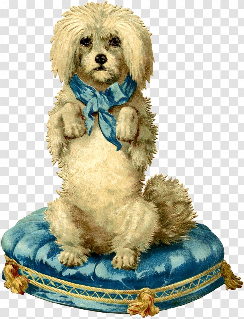 France Dog Greeting & Note Cards English - Cockapoo - Poodle Transparent PNG