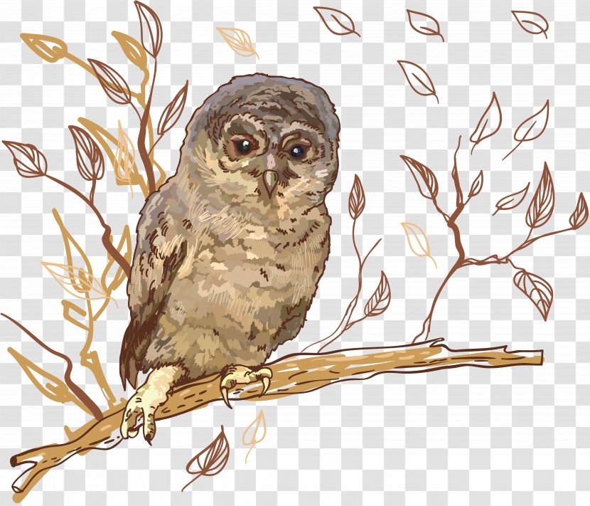 Great Grey Owl Tawny Clip Art - Organism Transparent PNG