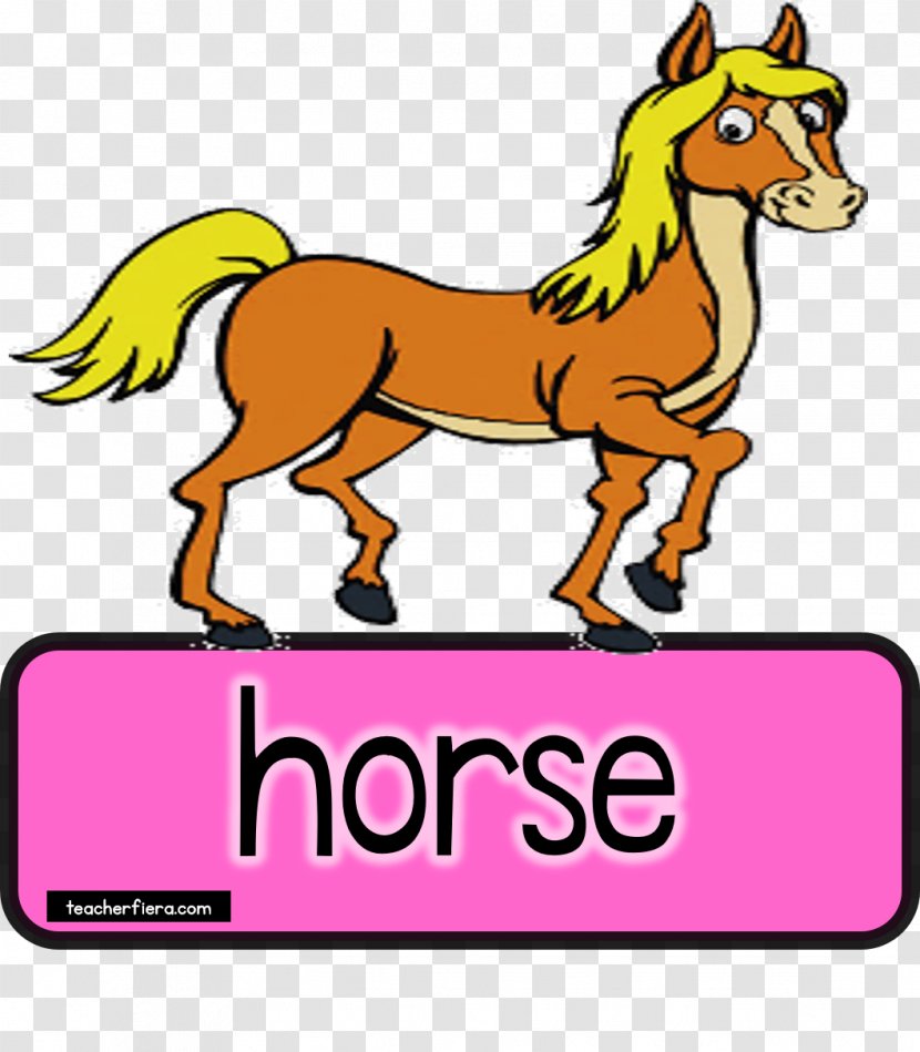 Mustang Foal Pony Colt Clip Art - Material Transparent PNG