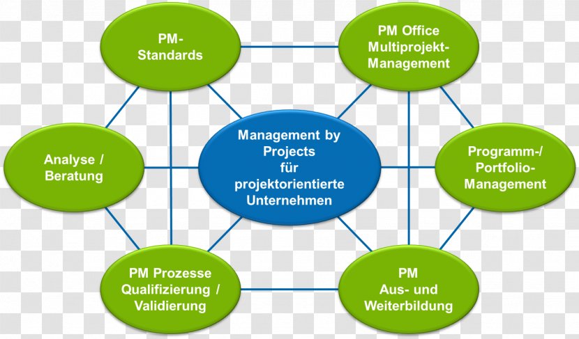 Project Management Organization Consultant Manager - Beratung - Bera Transparent PNG