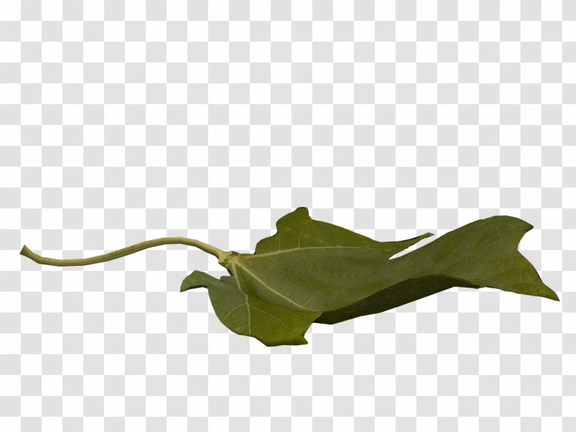 Leaf Flight Public Domain - Flower Transparent PNG