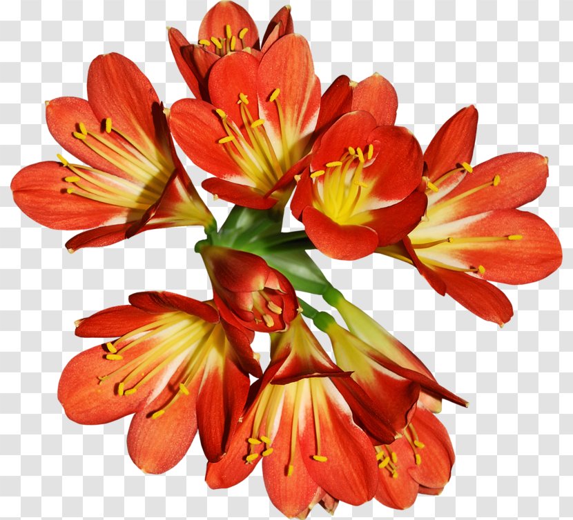 Flower Bouquet Lily Cut Flowers Rose Transparent PNG