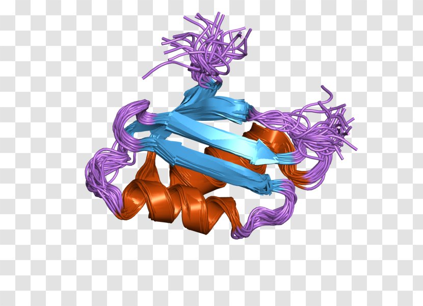 ATP7A Menkes Disease ATP Hydrolysis P-type ATPase - Ptype Atpase - Protein Transparent PNG