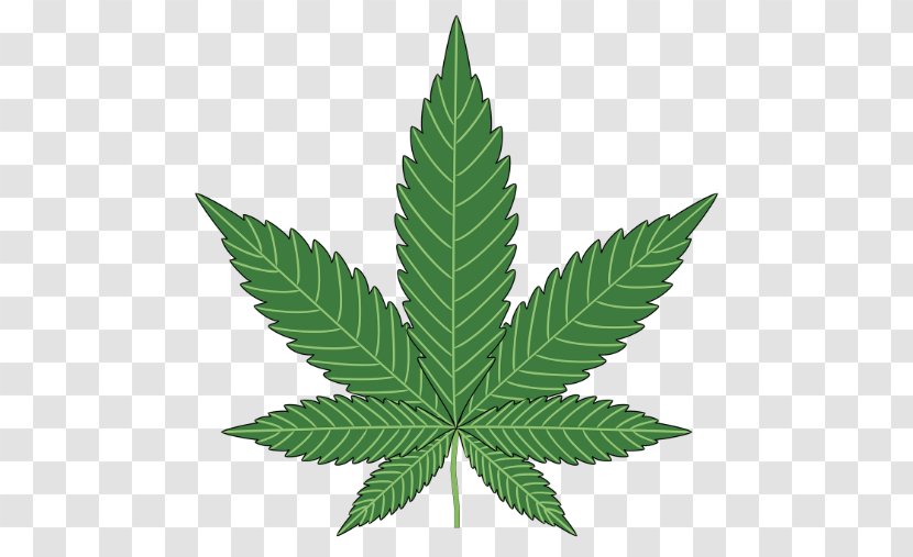 Medical Cannabis 420 Day Hemp Smoking Transparent PNG