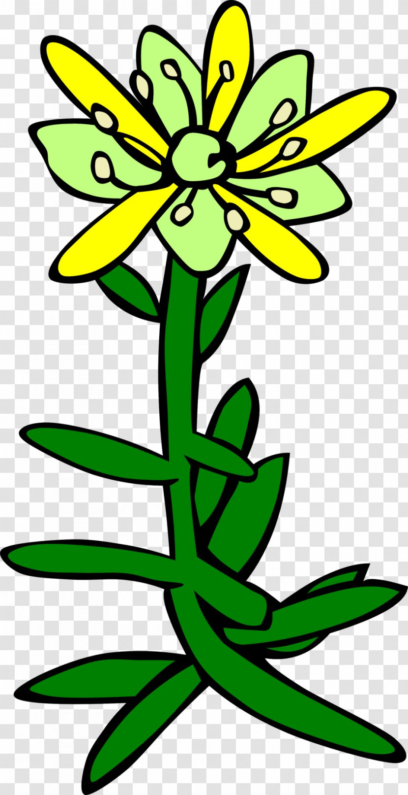 Saxifraga Aizoides Oppositifolia Clip Art - Flowering Plant - Plants Transparent PNG