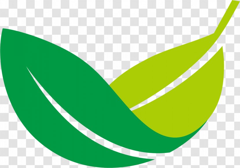 Leaf Drawing - Logo - Green Pattern Design Transparent PNG