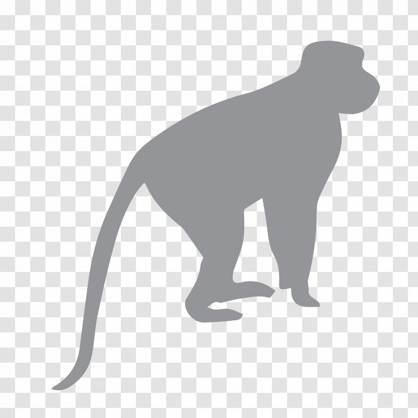 Ape Fossil Primates Chimpanzee Monkey - Logo Transparent PNG