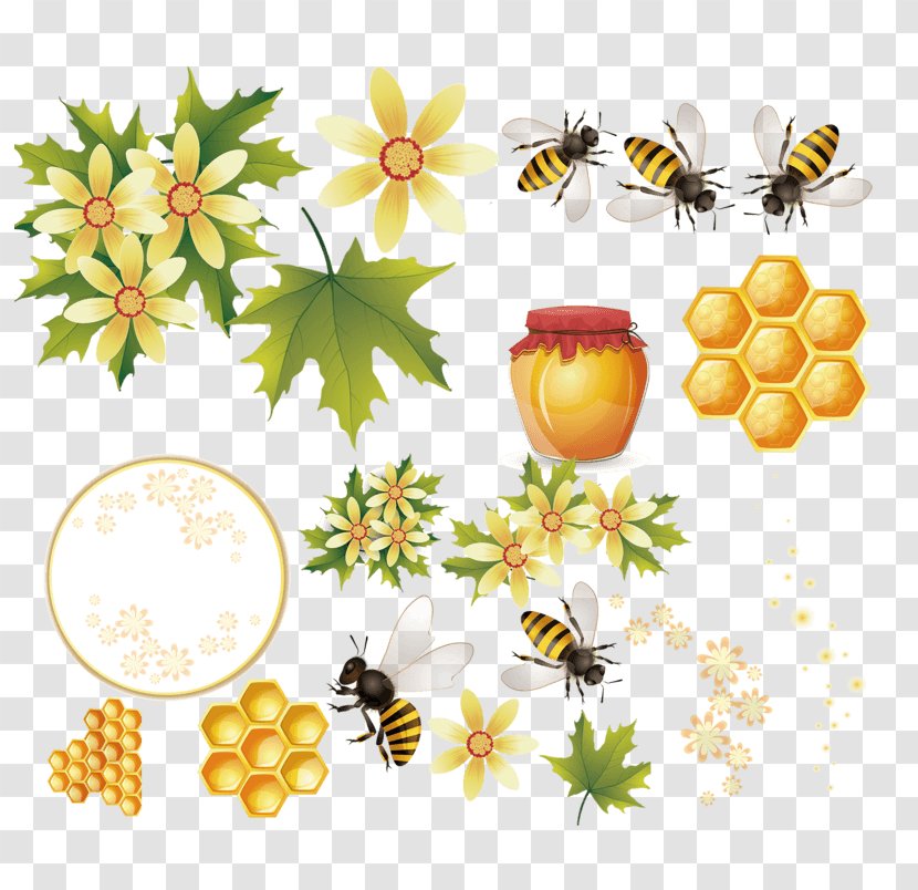 Western Honey Bee Beehive Vector Graphics - Flowering Plant - Hand Drawn Transparent PNG