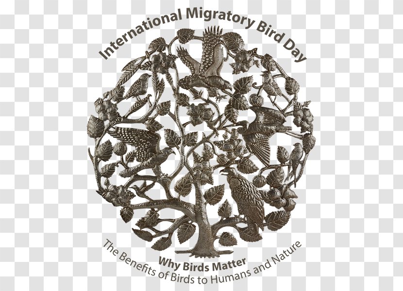 Bird Migration IMDb World Migratory Day - Visual Arts Transparent PNG
