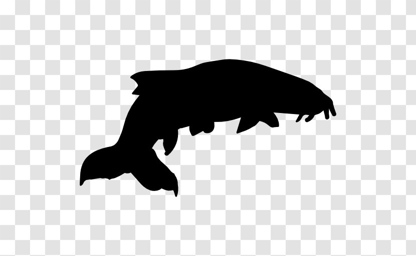 Sea Lion Silhouette - Fish Transparent PNG