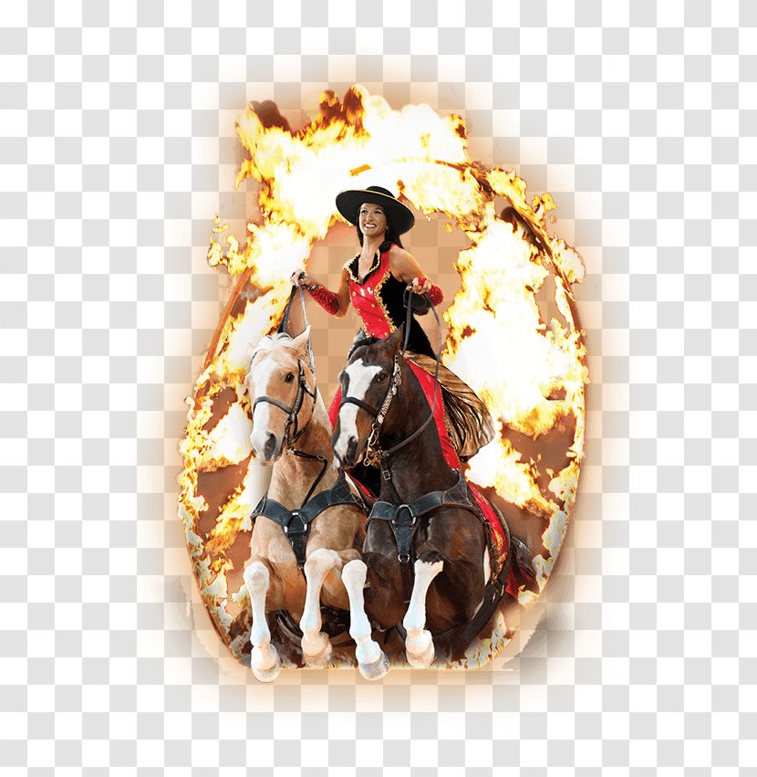 Dolly Parton's Stampede Horse Cowboy Christmas Day Bridle - Pigeon Forge Transparent PNG
