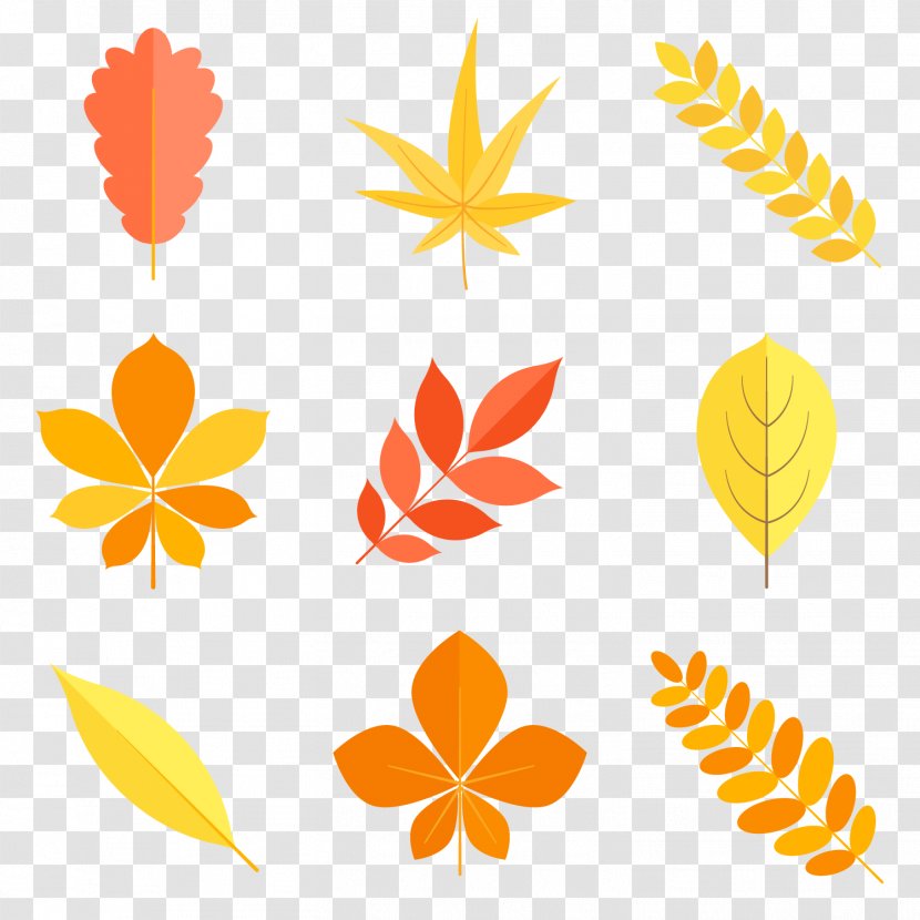 Leaf Clip Art - Illustrator - Colorful Autumn Leaves Vector Transparent PNG